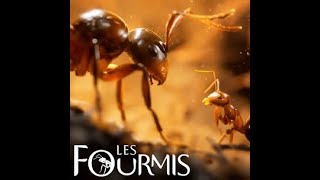 Les fourmis déballage du jeu [upl. by Ohce]