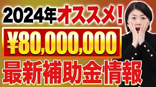 【2024年 速報】必見！最大8000万の一人社長も手に入る補助金・助成金を徹底解説！ [upl. by Gildus621]