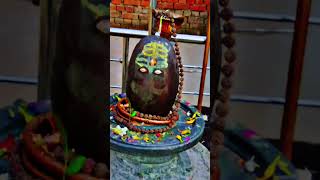 Har rhar Shambhu Shiva Mahadev mahadev om namah shivayareels short video [upl. by Arbuckle]