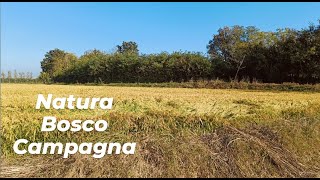 natura  ferrovia nel bosco  taglio lerba a casa  trattori depoca  nutria nel fiume EP 4 [upl. by Boak301]