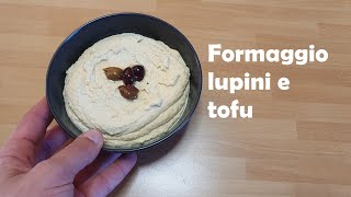 Formaggio vegano lupini e tofu [upl. by Cathey]