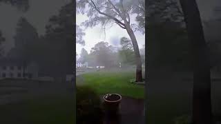 CCTV Captures Trees Torn from Ground by Violent Winds – Incredible Footage [upl. by Aitra473]