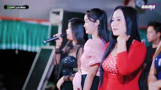 DP MUSIC  GOYANG DP MUSIC ALL ARTIS  RONK JINAH BERSATU  JAMBU TIMUR [upl. by Lenod554]