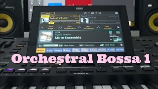 Korg Pa5x  Orchestral Bossa 1  Latin Category  Style Element  OS V 130 new sound [upl. by Tayib239]