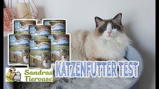 Katzenfutter SANDRAS SCHMANKERL im Test  Nassfutter für Katzen  JulisTierfuttertest 15 [upl. by Atteiluj]