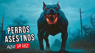 Después de Años de Maltrato Los Perros Se Vengan de los Humanos Project Silence  Aqui La Vez [upl. by Silverstein]