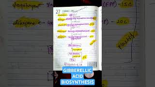 Gibberellic Acid Biosynthesis from Isoprenoid• CSIR life sciences• Gibberellin• csirnet GA botany [upl. by Olympe]