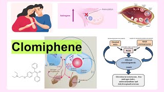 clomiphene [upl. by Aisan410]