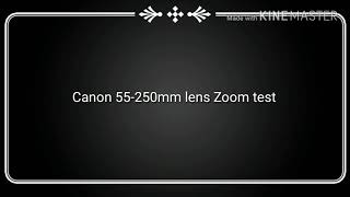 Canon 55250mm lens Vs Nikon 70300mm lens Zoom test Comparison videos  Nikon vs Canon [upl. by Tsew744]