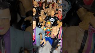 Mick Foley wwe wwewrestler allwrestlingfigures wwesuperstar wwefan wwefigures wrestler [upl. by Adaiha]