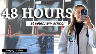 TACKLING THE MMIS Vet and Med School Interview Tips [upl. by Koren]