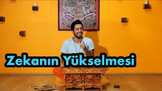 Satsang  Zekanın Yükselmesi [upl. by Antipas]