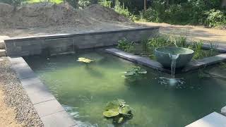 This Formal Pond with Floating Steps has crystal clear water [upl. by Lietman738]