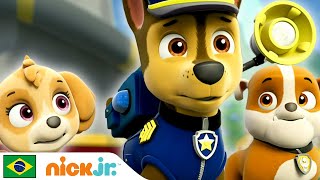 Paw Patrol  Patrulha Canina sempre ajudando 🐾  Nick Jr [upl. by Hadden961]