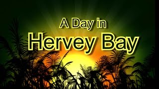 A Day In Hervey Bay [upl. by Stephenson259]