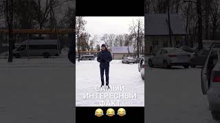 Факт №1  Самый интересный 😂 shorts [upl. by Sedgewinn]