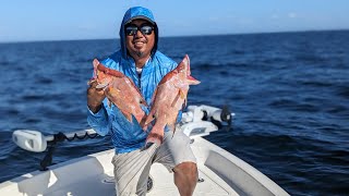 The Search for Hogfish Snappers in Tampa Bay [upl. by Agnella]