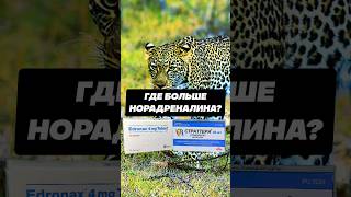 Ребоксетин или Атомоксетин Что сильнее ингибирует обратный захват норадреналина ребоксетин [upl. by Prissie]