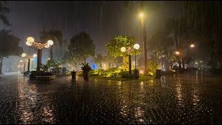 Heavy Rain Sounds for Sleeping 12 Hours of Gentle Night Rain Rain Sounds for Deep Sleep [upl. by Jennilee782]