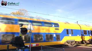 Spoorwegovergang Den Dolder 😍4K😍  Dutch railroad crossing [upl. by Goulette]