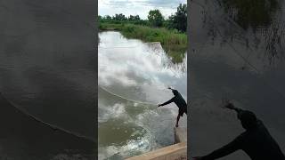 Incredible 50s Years old Throwing Cast net  Nimitt Fishing video Ep50 shorts fishing outdoors [upl. by Akimahs]