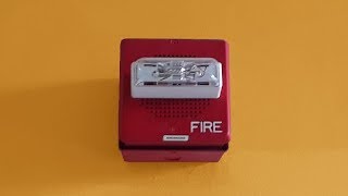 Loud Siemens Fire Alarm [upl. by Acinorrev]