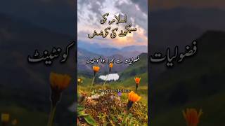 Practising Islam  Surah AlInam  Holy Quran translation in Urdu alquran117 SanaKhanVlogs21 [upl. by Gomar]