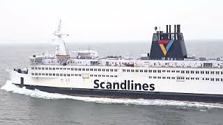 scandlines zoom [upl. by Eisak461]