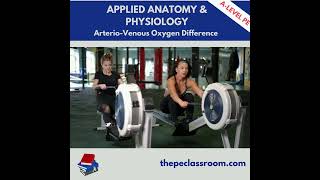 AQA A Level PE A VO2 Diff [upl. by Merriman]