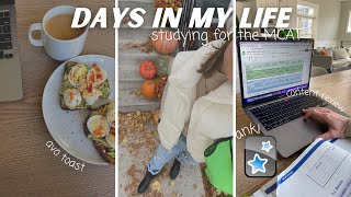 MCAT study vlog REALISTIC  scheduling my exam using anki content review and BALANCE [upl. by Yeltnerb]