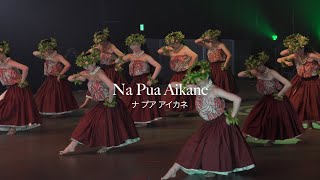 MYSTERIOUS HAWAII Ver2  Na Pua Aikane [upl. by Aihsele]