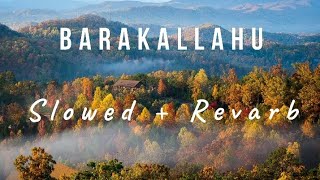 BarakAllahuMotivetionalNasheed Slowed  Revarb  HD mp4 [upl. by Llien744]