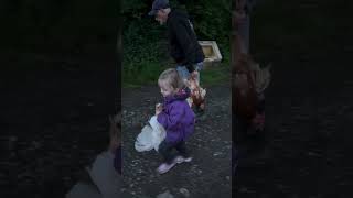 Little girl is helping to move chickens to their new home [upl. by Nylg918]