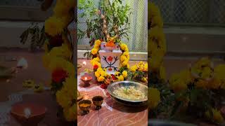 Happy Tulasi Pooje  Tulasi Pooja tulasipoojaviralreelsviralsongtrendingshorts [upl. by Vanhomrigh]