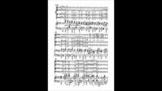 Brahms Deutsches Requiem 2nd movement Tenor [upl. by Rehpotsihc]