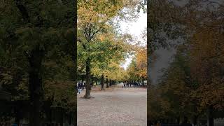 Autumn in the Hofgarten Munich  هوفگارتن مونیخ که در چهار قرن پیش باغ اختصاصی دربار بوده ✨ [upl. by Aihsak]