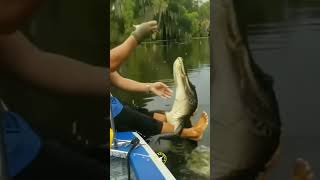 Crocodog 🐊😅  Crocodile Feeding  Brave Man [upl. by Linkoski]