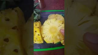 Pineapple🍍health benefits health viralshorts fruit reels tiktok trending video vlog cooking [upl. by Nylaehs]