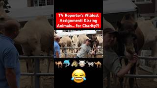 TV Reporter Kisses Animals for Charity 🎤 [upl. by Derej]