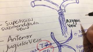 Brachiocephalic vein Vs azygous vein Internal jugular vein [upl. by Johnsson750]