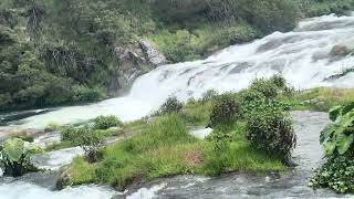 pykara falls shorts ooty travel jp nature trips munnar hillstation ootytour naturesounds [upl. by Lyons836]