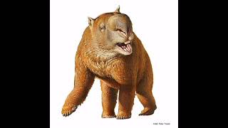 Diprotodongiant wombats reconstruction sounds [upl. by Jovi572]