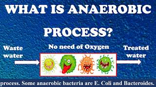 What is Anaerobic process  Types of Anaerobic process  wastewater treatment [upl. by Sidalg]