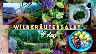 Wildkräutersalat mit BLÜTEN  Kräuterquark VEGAN  Kresse Update 🌱  Vlog 43  Lulumee Loves ♡ [upl. by Jezebel]