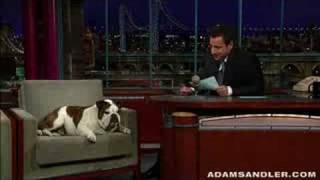 Adam Sandler hosts the Letterman show [upl. by Hamo]