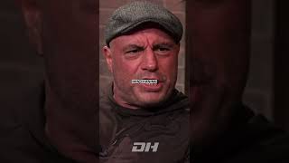 Why Joe Rogan Hates Grizzly Bears [upl. by Utter183]