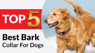 Top 5 Best Bark Collars for Dogs Review in 2024 [upl. by Notak994]