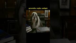 Shaggy Dogshortstamil tamilmoviereview shorts [upl. by Kohcztiy]