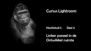 Hfdst 5 Deel 4 Linker paneel in ontwikkel ruimte [upl. by Clarinda]