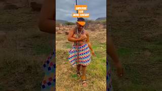 dance zulu africa reggae zuluroyalpalace love zulukingdom vibes zuluwarriortraditionalwear [upl. by Klimesh]